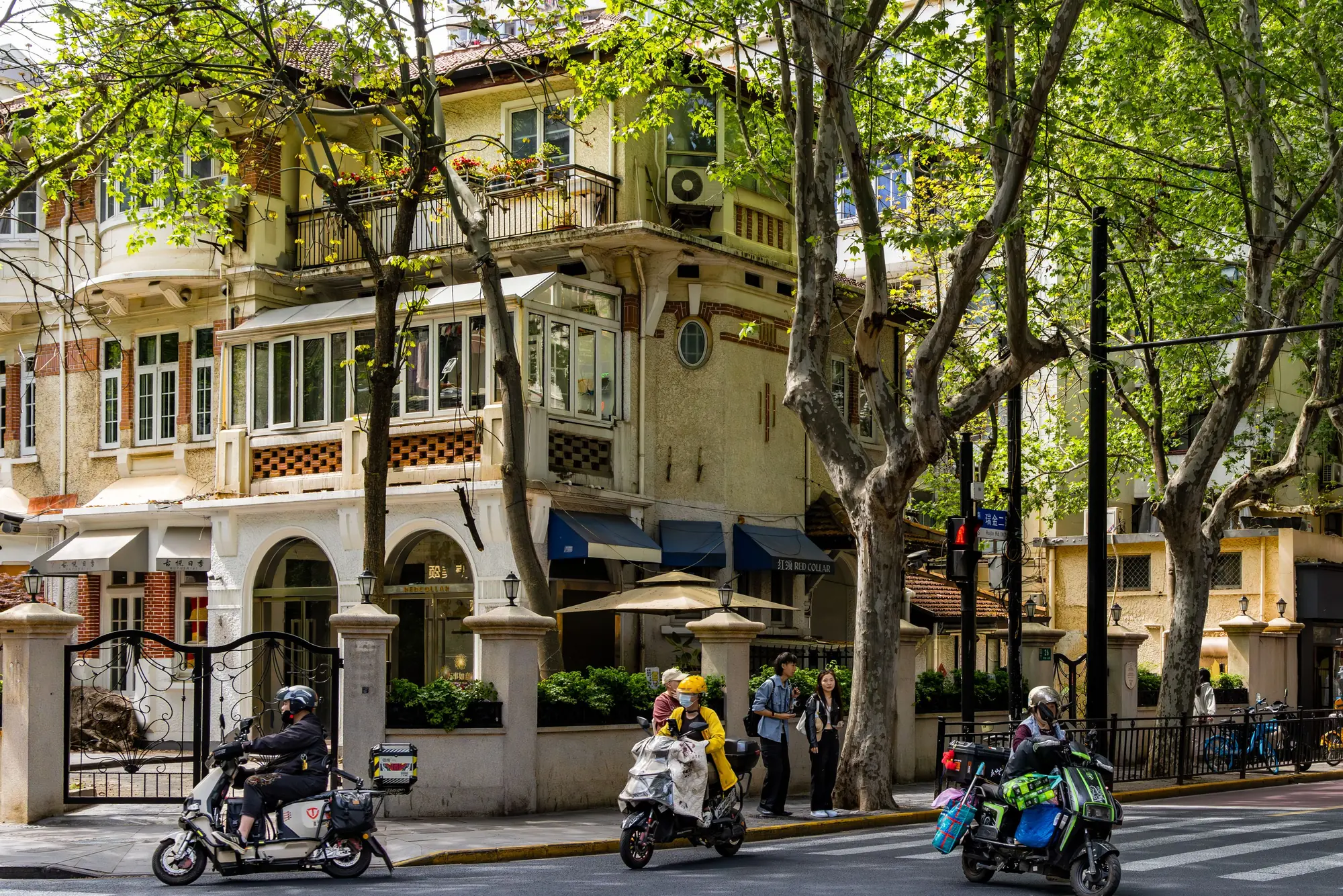Historic residences and plane trees along Ruijin Second Road in Shanghai