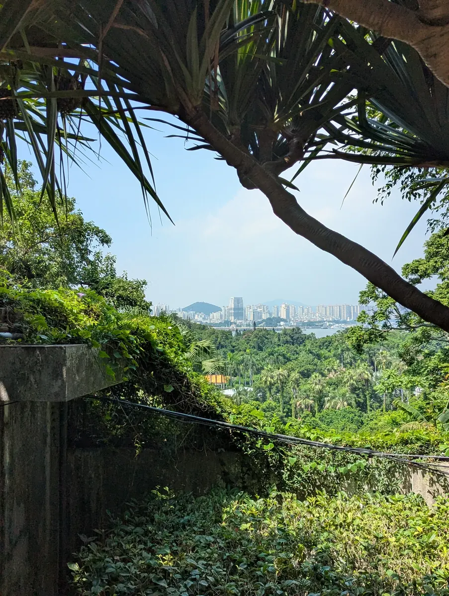 Gulangyu view toward Xiamen skyline